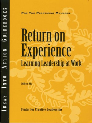cover image of Return on Experience
